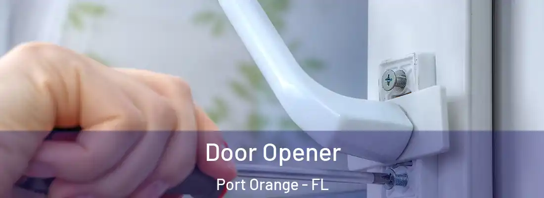  Door Opener Port Orange - FL